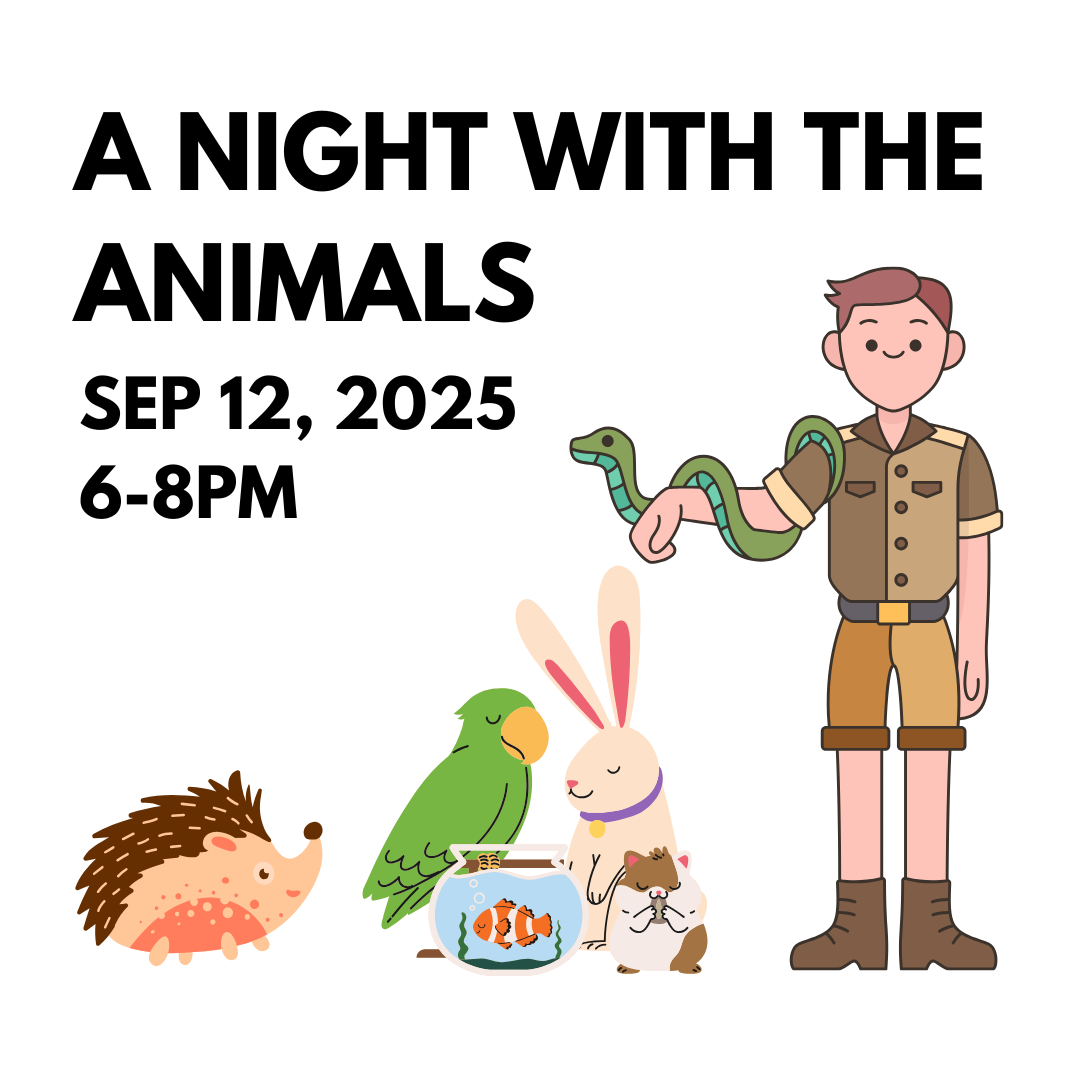 A Night with the Animals